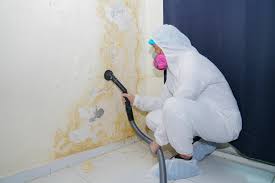 Best Asbestos and Lead Testing During Mold Inspection  in Chula Vista, CA